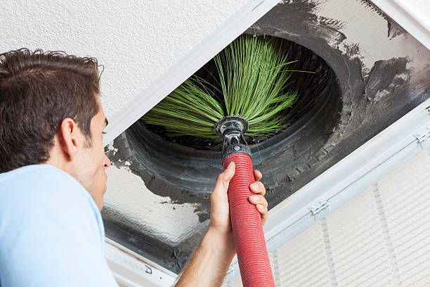Best Affordable Air Duct Cleaning  in Bath, MI